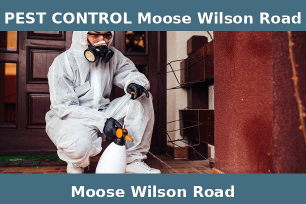 PEST CONTROL Moose Wilson Road